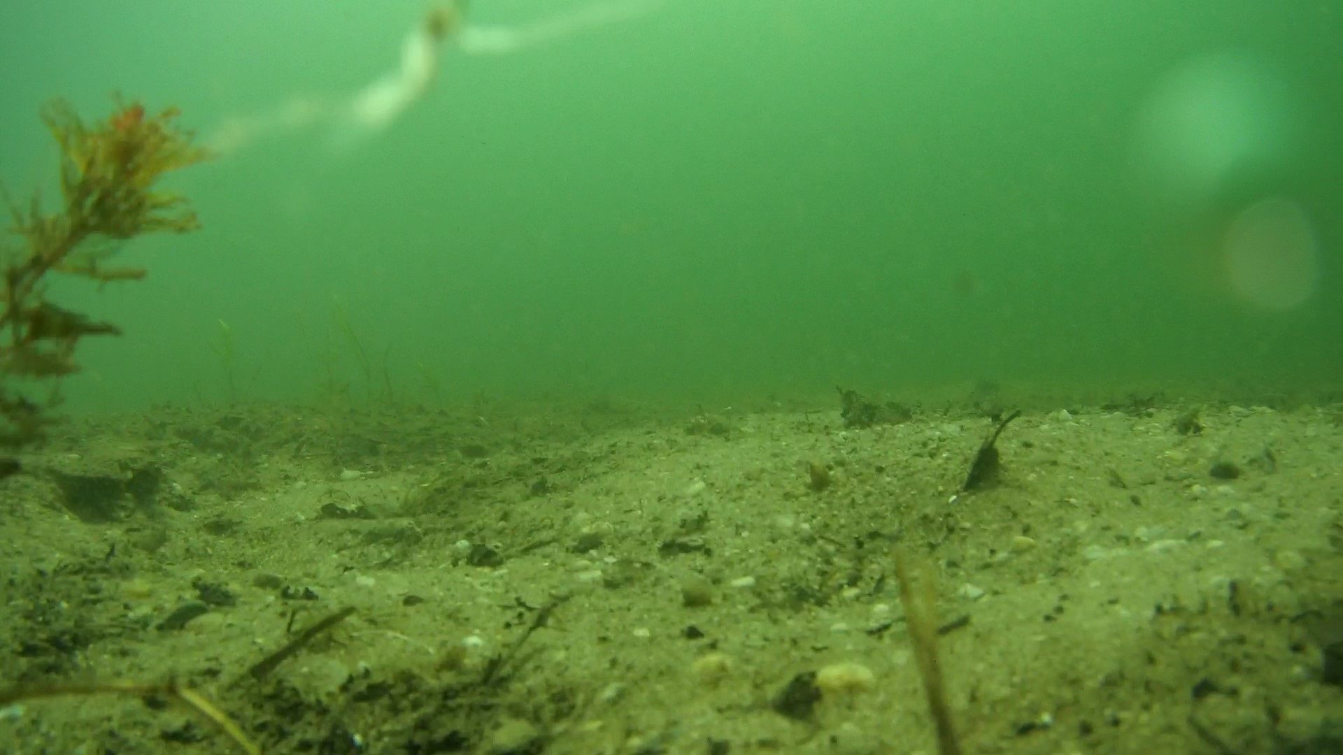 Sediment am Grund eines Weihers